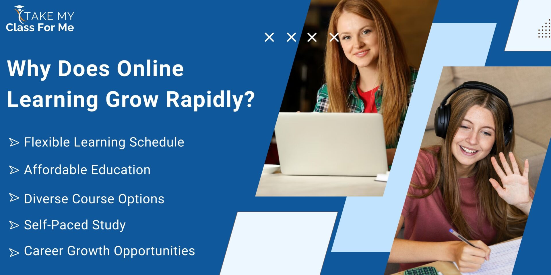 Why Does Online Learning Grow Rapidly?